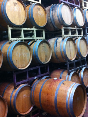 Baco Noir barrels